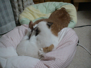 BeF2005N0928