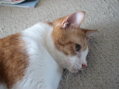 BeF2005N0912