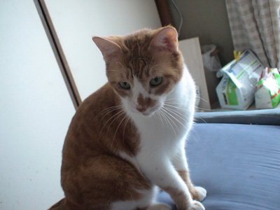 BeF2005N0913