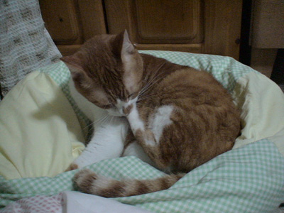 BeF2005N0928
