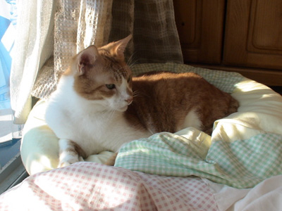 BeF2005N0930