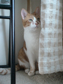BeF2005N0829