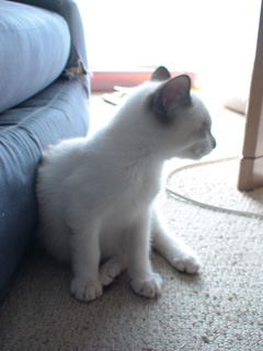 BeF2005N0912