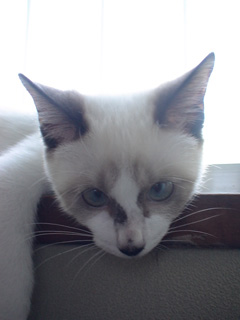BeF2005N0918