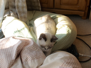 BeF2005N0930