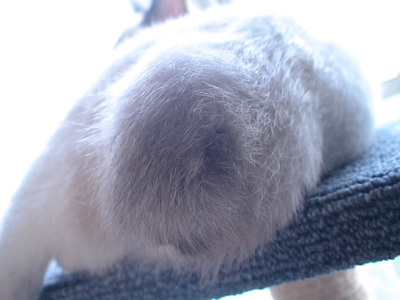 BeF2005N0930