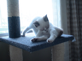 BeF2005N0829