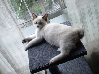 BeF2005N0905