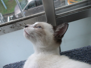 BeF2005N0905